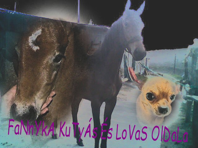 FaNnYkA lOvAs s KuTys OlDaLa